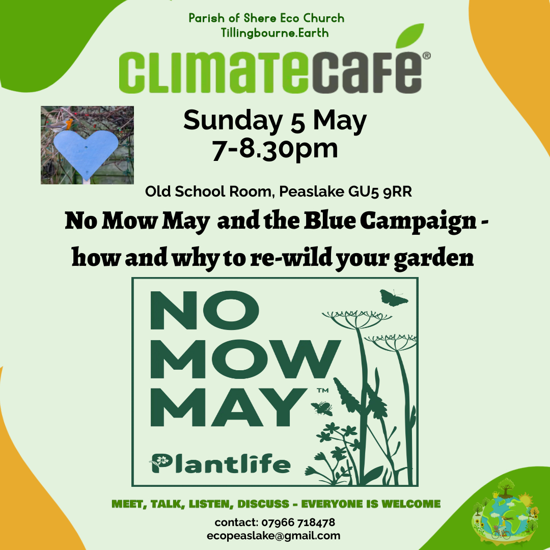 Climate Cafe No Mow may and the Blue Campaign